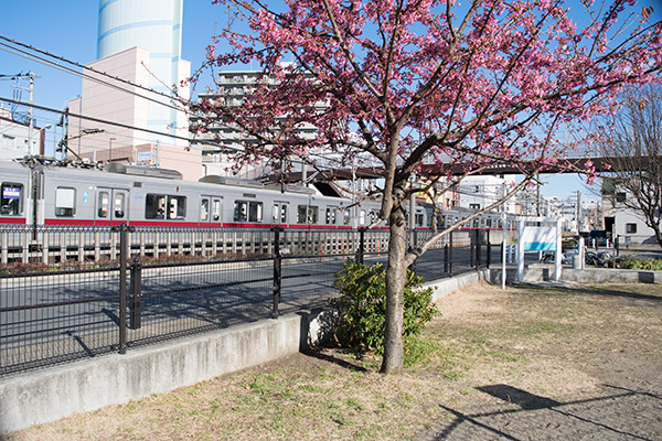 電車の見える公園、2017年2月12日